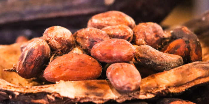 Kakaofrucht mit Kakaobohne für Kakaonibs von bewusst natur